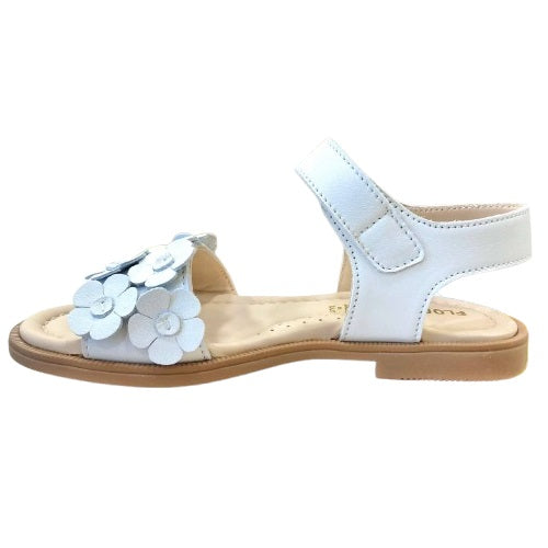 f9577 sandalo florens