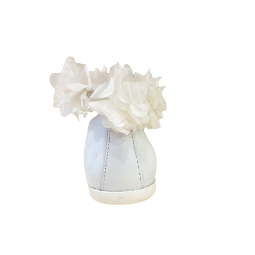 p2369 ballerina Platis