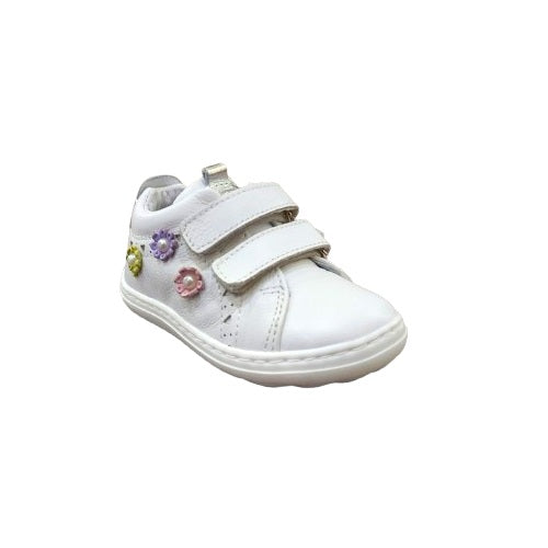 6790 - Shoes - BALDUCCI