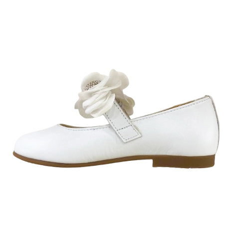 241532 ballerina andanines