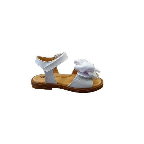 P3205 - Shoes - PLATIS