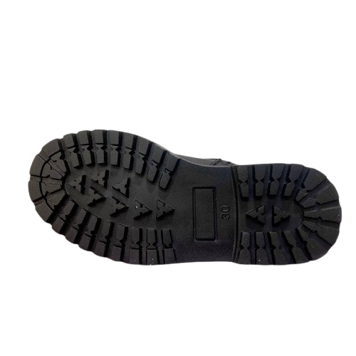 P2610 anfibio Platis