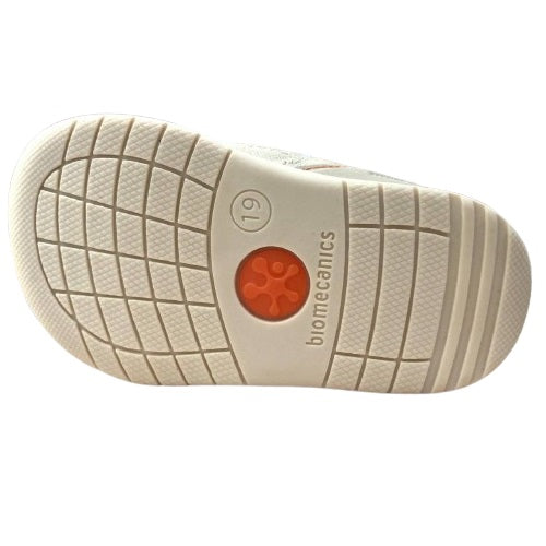 252195 ragnetto biomecanics