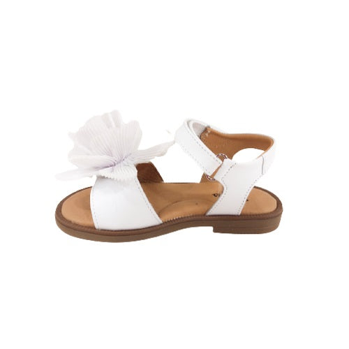 P3141 sandalo Platis