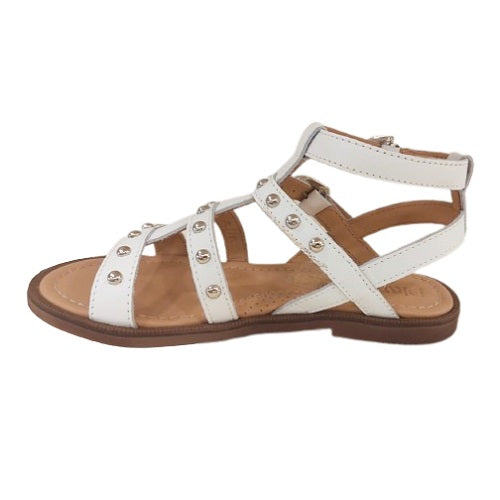 19749C sandalo Dianetti