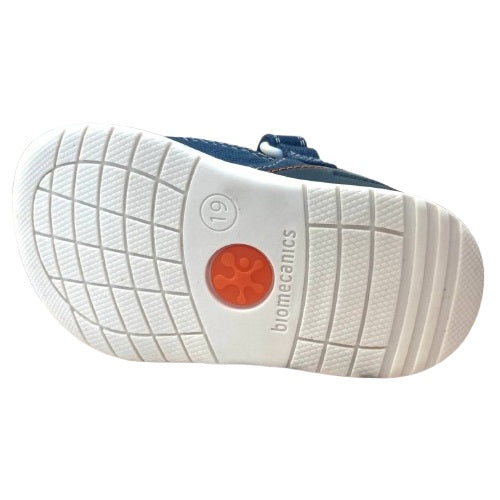 252195 ragnetto biomecanics
