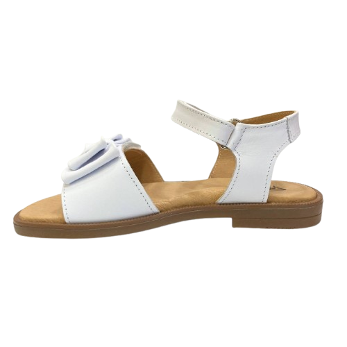 p3254 sandalo Platis