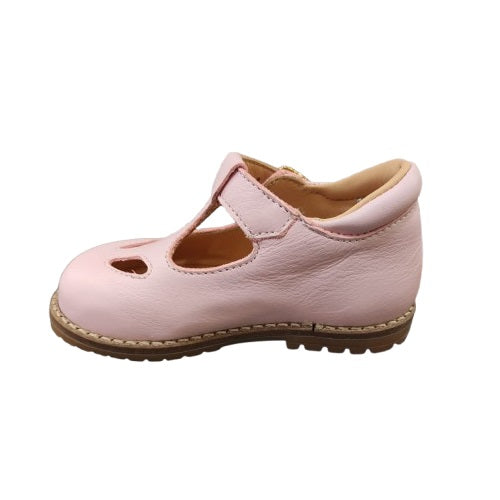 S004Two-eyed Swallow