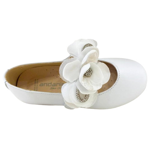 241532 ballerina andanines