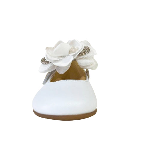 241532 ballerina andanines