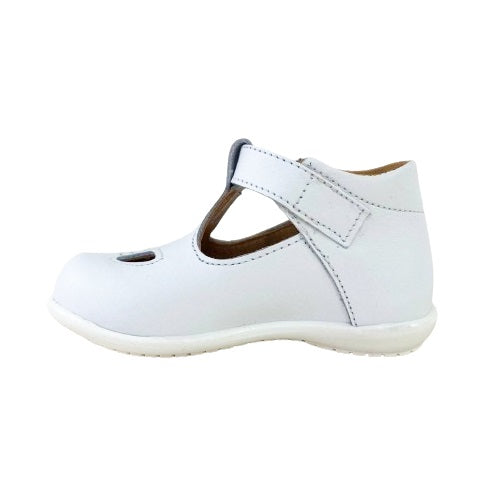 P2488 due occhi Platis