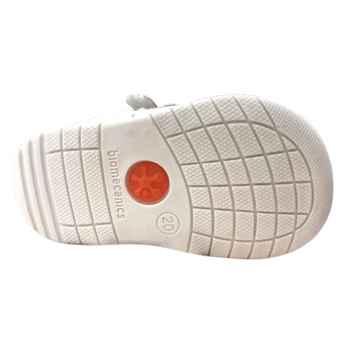 252193 ragnetto biomecanics