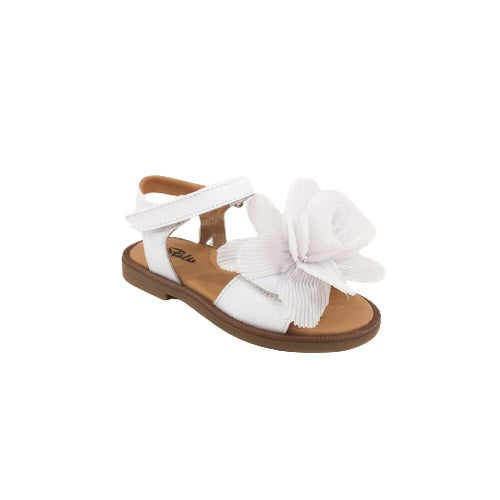 P3141 sandalo Platis