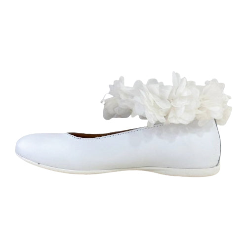 p2369 ballerina Platis