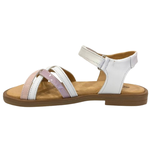 p3242 sandalo Platis