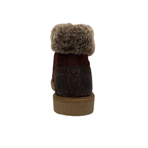 8654 polacchine Clarys