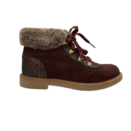 8654 polacchine Clarys