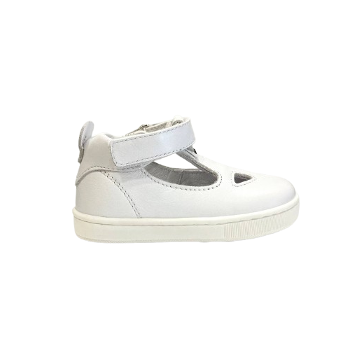 5832b1 due occhi Balducci