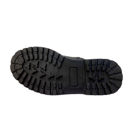 P2610 anfibio Platis