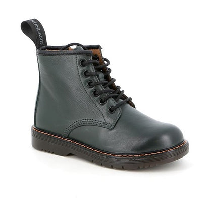 PO1177 anfibio Grunland