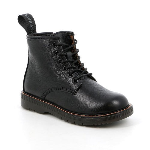 PO1177 anfibio Grunland