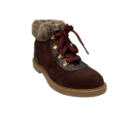 8654 polacchine Clarys