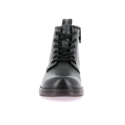 PO1809 anfibio Grunland