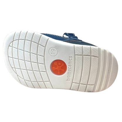 252195 ragnetto biomecanics