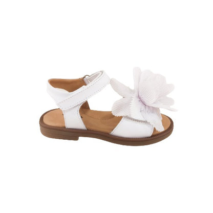 P3141 sandalo Platis