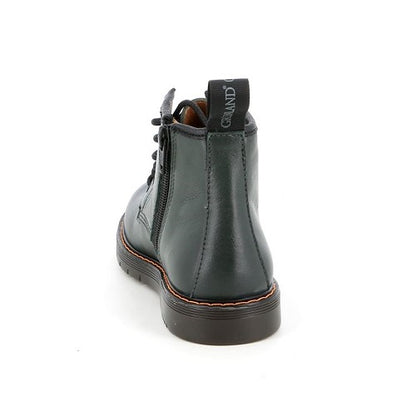 PO1177 anfibio Grunland