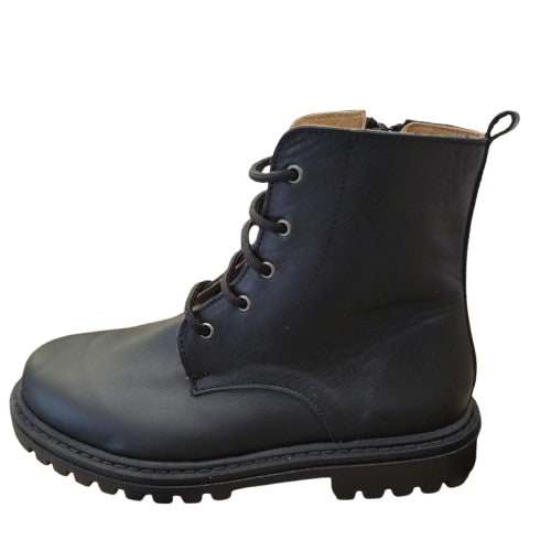 P2610 anfibio Platis