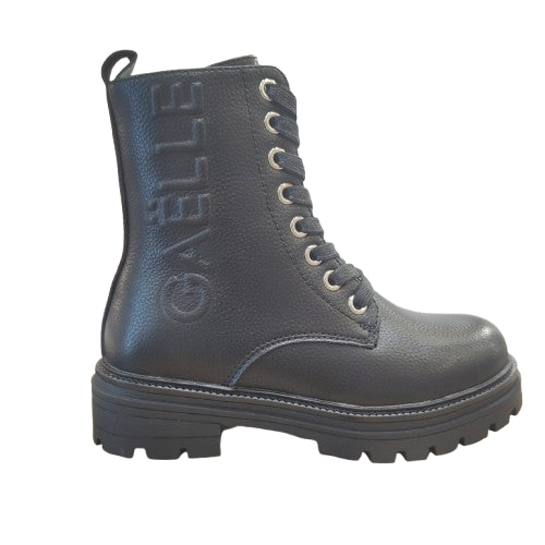 GL0064L0002 anfibio Gaelle